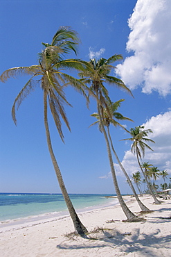 Saona Island, south coast, Dominican Republic, Central America