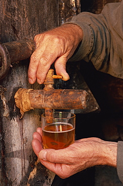 Tasting, farm cider, Normandie, France, Europe