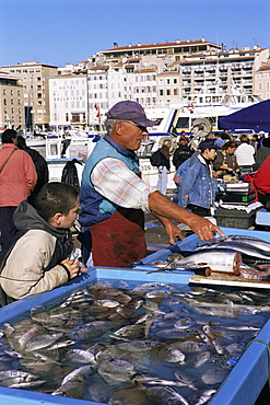 Fish market, Vieux Port, Marseille, Bouches du Rhone, Provence, France, Europe