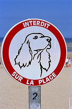 Dogs forbidden sign on beach, Le Touquet,, Nord, France, Europe