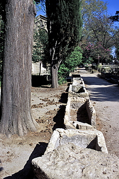 Lane of sarcophagi, Les Alyscamps, Arles, Bouches-du-Rhone, Provence, France, Europe