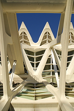 Museu de les Ciencias Principe Felipe (Principe Felipe Science Museum, City of Arts and Sciences, Valencia, Spain, Europe