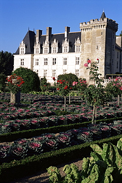 Gardens, Chateau de Villandry, UNESCO World Heritage Site, Indre-et-Loire, Loire Valley, Centre, France, Europe