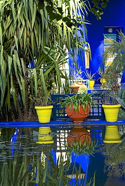 Coloured pots and plants reflected in water basin, in Majorelle Garden, Marrakech, Morocco, North Africa, Africa