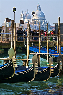 Gondolas and tourists in front of La Salute Church, Venice, UNESCO World Heritage Site, Veneto, Italy, Europe