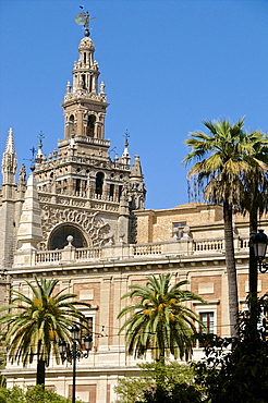 Cathedral and Giralda, Seville, UNESCO World Heritage Site, Andalusia, Spain, Europe