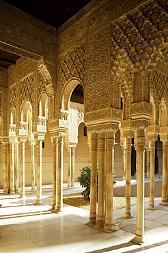 Court of the Lions, Alhambra, UNESCO World Heritage Site, Granada, Andalucia, Spain, Europe