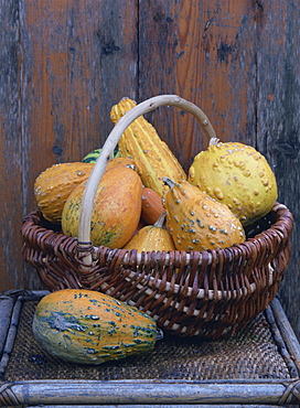 Still life of a small number of yellow gourds in a rustic wicker basket