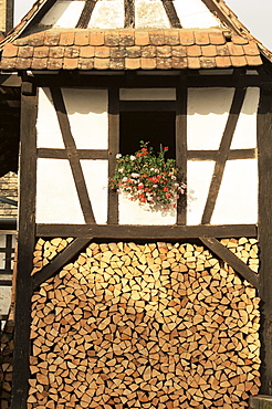 Wood store, near Hunspach, Alsace Lorraine, France, Europe