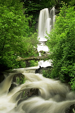 Waterfall near Le Mont Dor, Auvergne, France, Europe