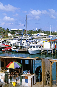 Under Paradise Island Bridge, Potter's Cay, Nassau, Bahamas, West Indies, Central America