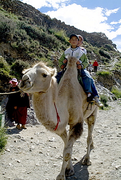 Camel riders, Yumbulagung Castle, Tibet, China, Asia