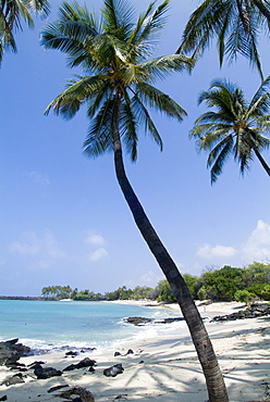 Kona State Beach, Island of Hawaii (Big Island), Hawaii, United States of America, Pacific, North America