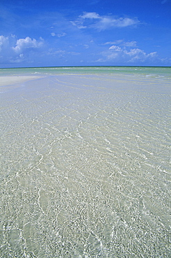 Beach, Andros, Bahamas, Central America