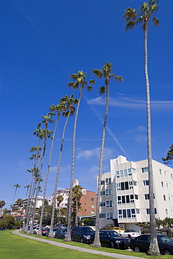 La Jolla, near San Diego, California, United States of America, North America