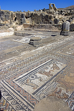 House of Orpheus, Roman site of Volubilis, UNESCO World Heritage Site, Morocco, North Africa, Africa