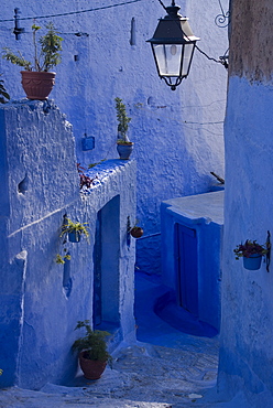 Chefchaouen, near the Rif Mountains, Morocco, North Africa, Africa