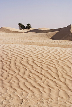 The beginning of the Sahara Desert, Douz, Tunisia, North Africa, Africa