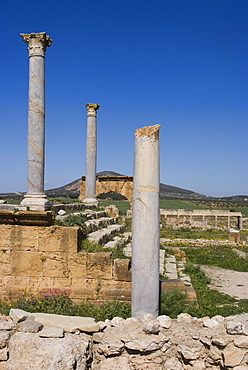 Temple of Caelestis, Roman ruin of Thuburbo Majus, Tunisia. North Africa, Africa