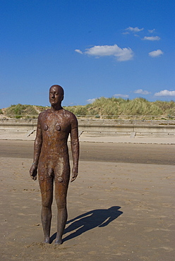 One of the 100 men of Another Place, also known as The Iron Men, statues by Antony Gormley, Crosby Beach near Liverpool, Merseyside, England, United Kingdom, Europe