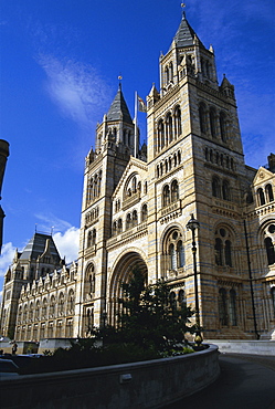 The Natural History Museum, South Kensington, London, England, UK, Europe