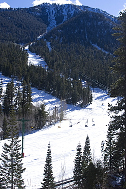 Las Vegas Ski and Snowboard Resort, Mount Charleston, near Las Vegas, Nevada, United States of America, North America