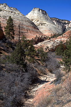 Zion Canyon National Park, Utah, United States of America, North America