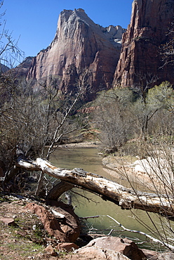 Zion Canyon National Park, Utah, United States of America, North America