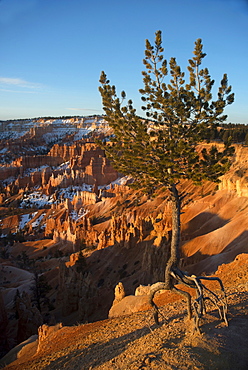 Bryce Canyon National Park, Utah, United States of America, North America