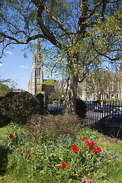 Street and church view, Clifton, Bristol, England, United Kingdom, Europe