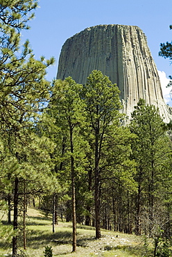 Devil's Tower National Monument, Wyoming, United States of America, North America