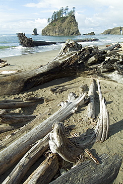 Second Beach, Olympic National Park, UNESCO World Heritage Site, Washington state, United States of America, North America