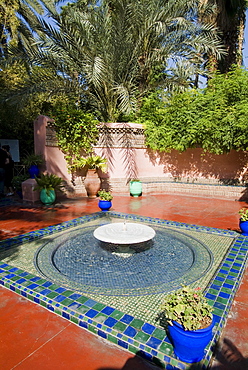 Jardin Majorelle, Marrakech, Morocco, North Africa, Africa