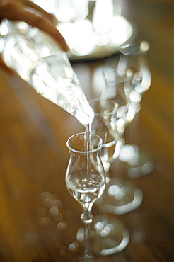 Pouring drink into glass, Veneto, Italy, Europe