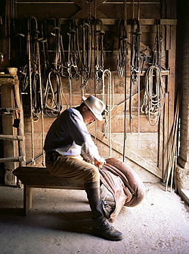Saddlemaker, Maremma, Tuscany, Italy, Europe