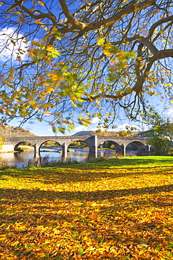 River Wye and Bridge, Builth Wells, Powys, Wales, United Kingdom, Europe