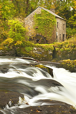 Cenarth Waterfalls, Carmarthenshire, Wales, United Kingdom, Europe