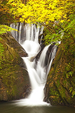 Furnace Falls, Furnace, Dyfed, Wales, United Kingdom, Europe