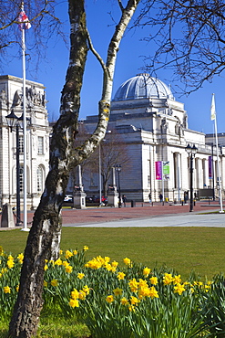 The National Museum of Wales, Cardiff, Wales, United Kingdom, Europe 