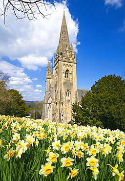 Llandaff Cathedral, Llandaff, Cardiff, Wales, United Kingdom, Europe