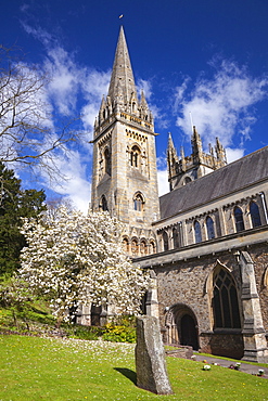 Llandaff Cathedral, Llandaff, Cardiff, Wales, United Kingdom, Europe