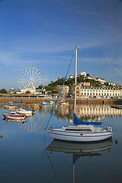 Torquay Harbour, Devon, England, United Kingdom, Europe