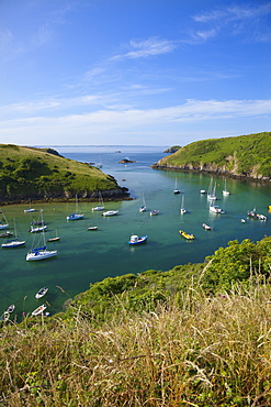 Solva Harbour, Pembrokeshire, Wales, United Kingdom, Europe