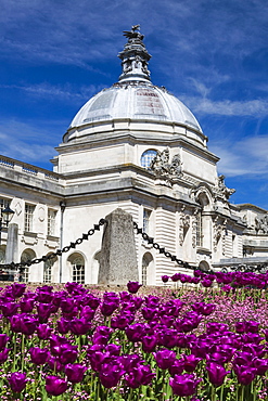 City Hall, Cardiff, Wales, United Kingdom, Europe