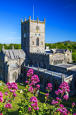 St. Davids Cathedral, Pembrokeshire, Wales, United Kingdom, Europe