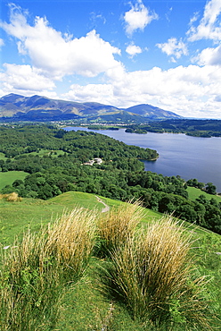 Derwent Water and Lonscale Fell from Cat Bells, Lake District National Park, Cumbria, England, United Kingdom, Europe