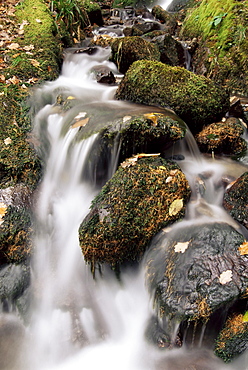 Waterfall, Holme Wood, Lake District, Cumbria, England, United Kingdom, Europe