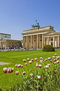 Tourists enjoying spring sunshine in the tulip filled gardens at the Brandenburg Gate with the Quadriga winged victory statue on top, Pariser Platz, Berlin, Germany, Europe