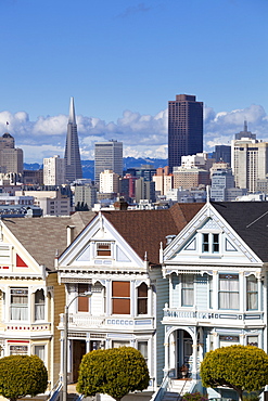 The famous Painted Ladies, well maintained old Victorian houses on Alamo Square, with the skyscrapers of the Financial district beyond, San Francisco, California, United States of America, North America