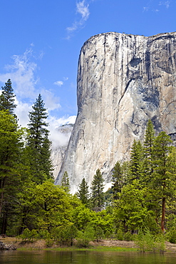 El Capitan, a 3000 feet granite monolith, with the Merced River flowing through Yosemite Valley, Yosemite National Park, UNESCO World Heritage Site, Sierra Nevada, California, United States of America, North America